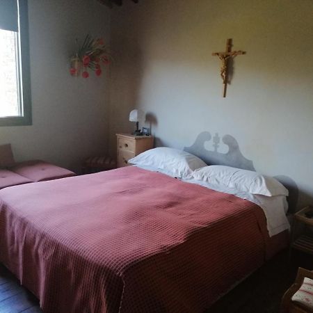 Casetta Dell'Uliveto Macchiascandona Extérieur photo