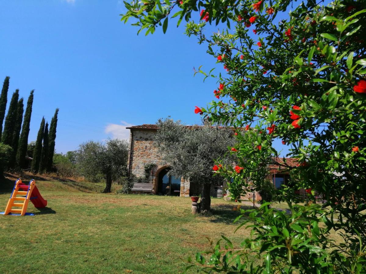 Casetta Dell'Uliveto Macchiascandona Extérieur photo