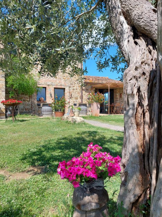 Casetta Dell'Uliveto Macchiascandona Extérieur photo