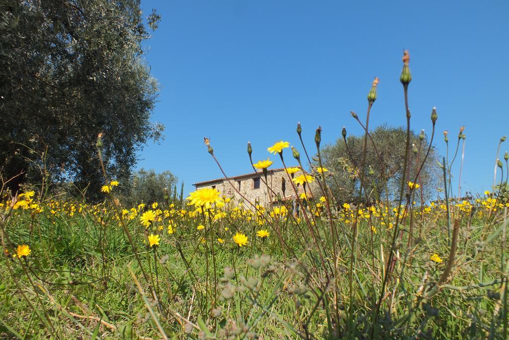 Casetta Dell'Uliveto Macchiascandona Extérieur photo