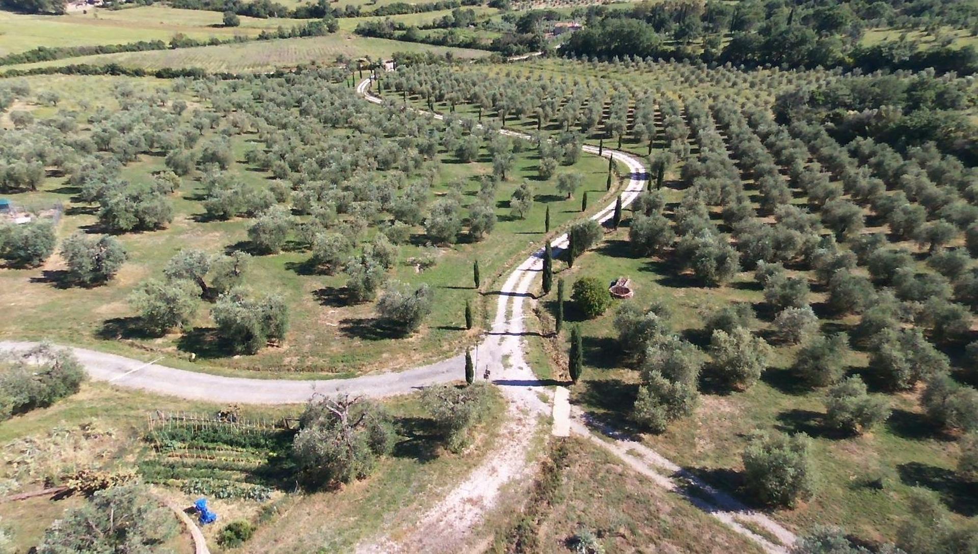 Casetta Dell'Uliveto Macchiascandona Extérieur photo