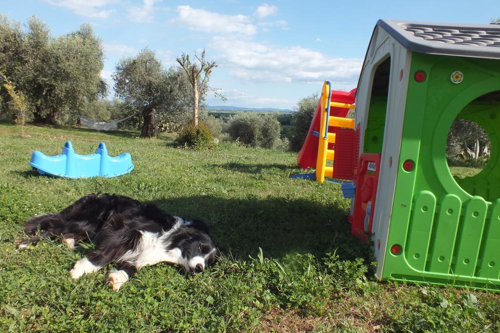 Casetta Dell'Uliveto Macchiascandona Extérieur photo