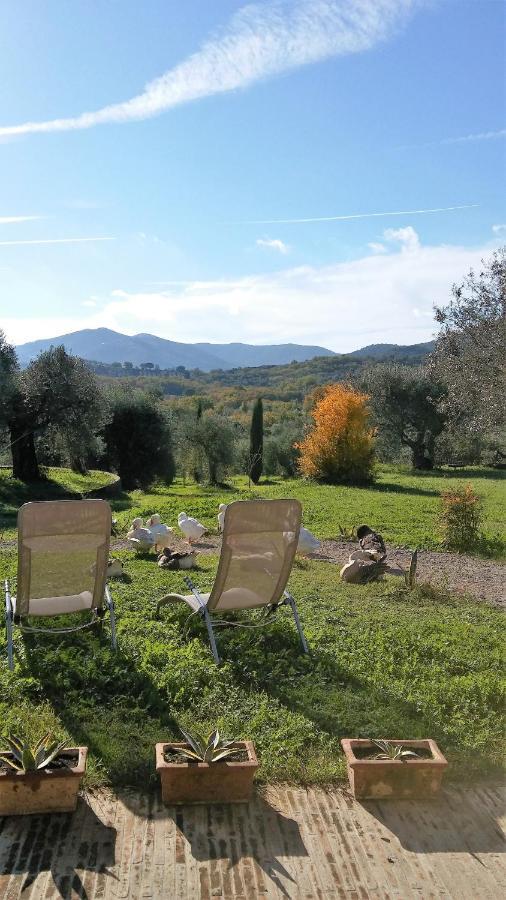 Casetta Dell'Uliveto Macchiascandona Extérieur photo